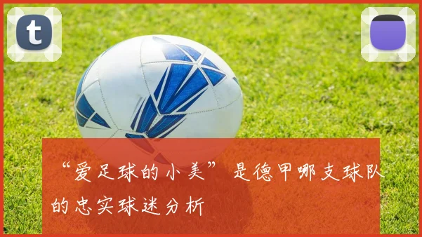 “爱足球的小美”是德甲哪支球队的忠实球迷分析