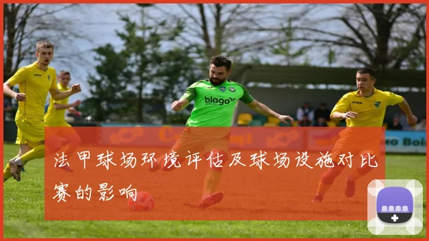 法甲球场环境评估及球场设施对比赛的影响